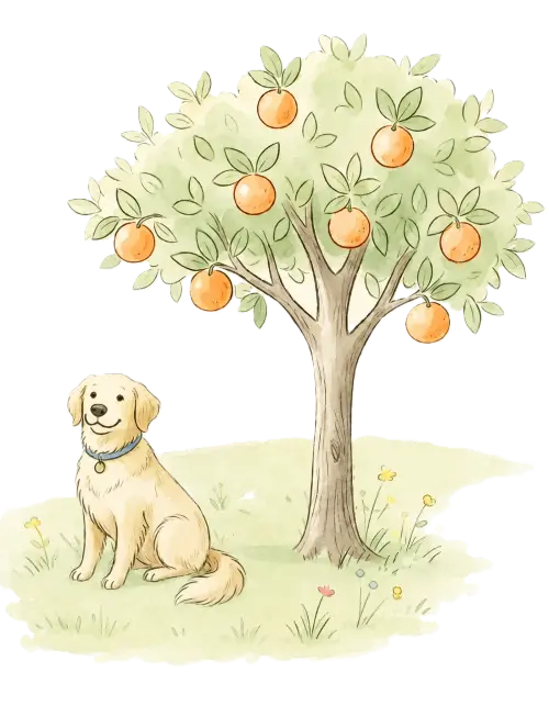 Dog under an orange tree